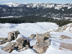 Wolf Creek